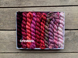 KPPPM (Koigu Painters palette Premium Merino) Pencil Box