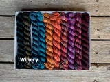 KPPPM (Koigu Painters palette Premium Merino) Pencil Box