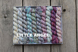 KPPPM (Koigu Painters palette Premium Merino) Pencil Box