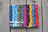 KPPPM (Koigu Painters palette Premium Merino) Pencil Box