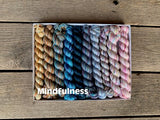 KPPPM (Koigu Painters palette Premium Merino) Pencil Box