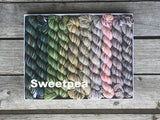 KPPPM (Koigu Painters palette Premium Merino) Pencil Box