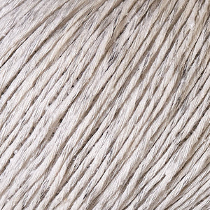 Berroco Chai (DK) 8600