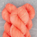 Pashmina (SP)
