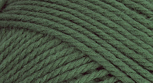 Brown Sheep Company - (W) - Nature Spun - Pewter Green 401