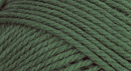 Brown Sheep Company - (W) - Nature Spun - Pewter Green 401