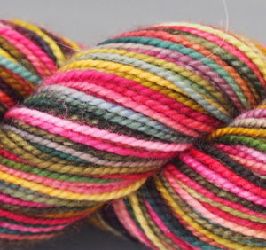 KPPPM (Koigu Painters palette Premium Merino)