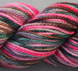 KPPPM (Koigu Painters palette Premium Merino)