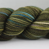 KPPPM (Koigu Painters palette Premium Merino)