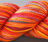 KPPPM (Koigu Painters palette Premium Merino)