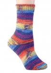 Berroco Comfort Sock -(S) 1831